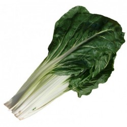 Miel De Garrigue, Pot De 500G