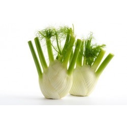 oignons
