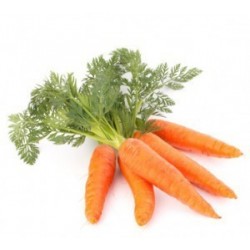 Poivrons Verts,