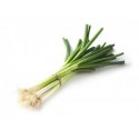 Citrouille