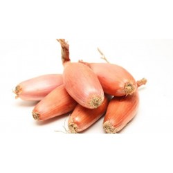 Betteraves Rouges Crues (+ Grosses)