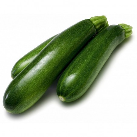 Courgettes