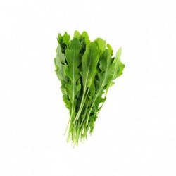 Roquette, 100g