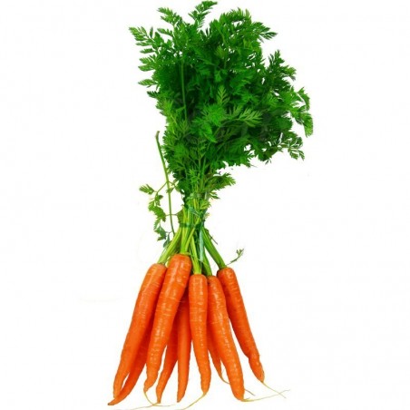 Carottes Nouvelles , En Botte De 500G