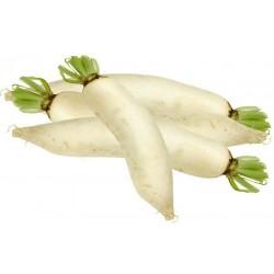 Navets Blancs Longs