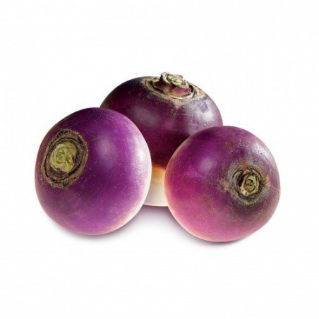 Navets Violets Ronds
