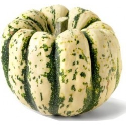 Patidou