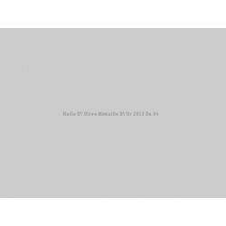 Huile D'Olive Médaille D'Or 2013 Du 04