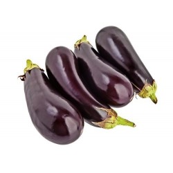 Aubergines