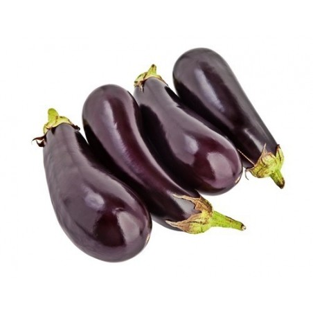 Aubergines