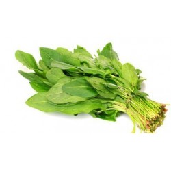 Botte de 100g d'oseille Fra-icirc-che
