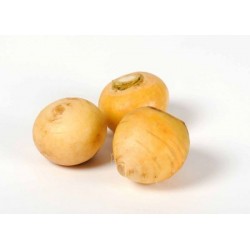 Navets Boule d'Or