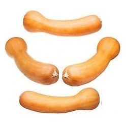Courge Longue De Nice
